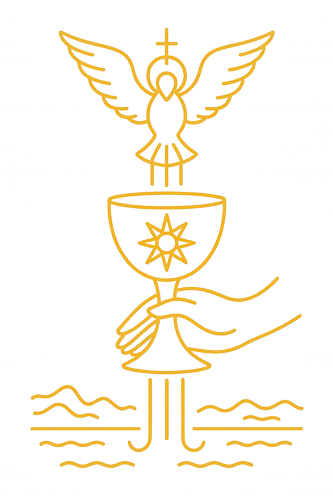 01 Ace Cups 500x333 1