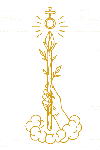 01 Ace Wands 500x333 1