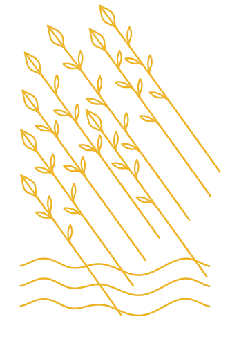 08 Eight Wands 500x333 1